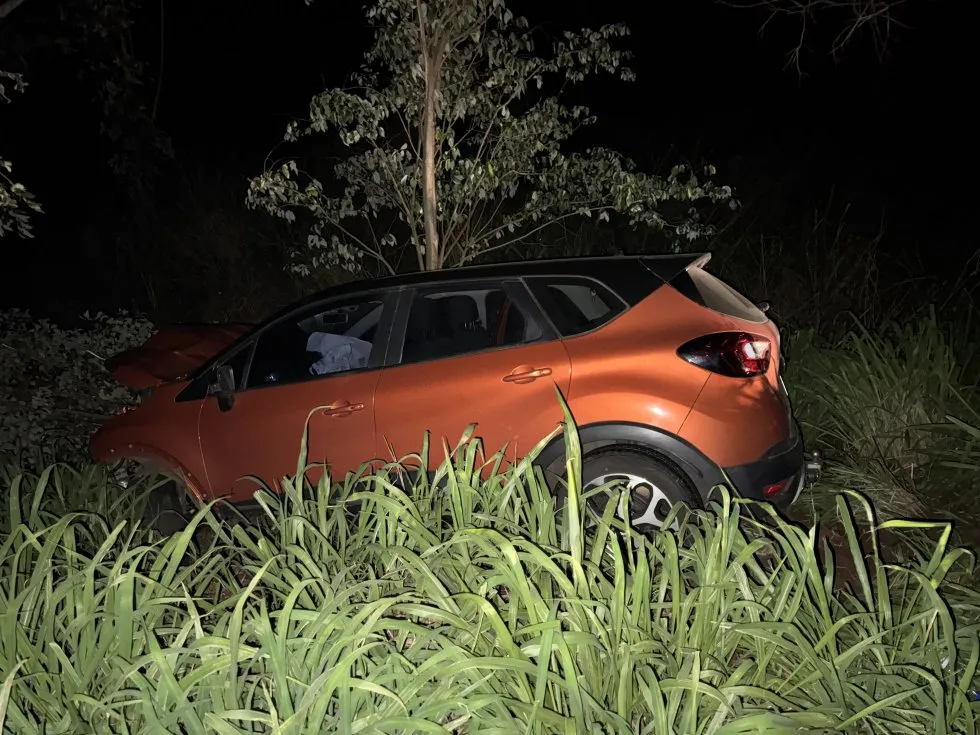 Motorista perde o controle após atingir anta na MS-141, em Ivinhema