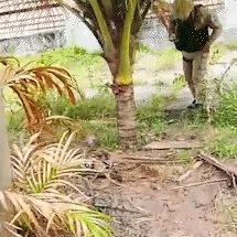 Pai mata filho autista e afirma ter agido por não conseguir arcar com pensão