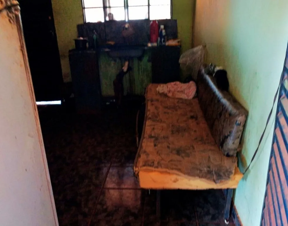 Nova Casa Verde: Polícia Militar flagra situação análoga à escravidão em lavoura de mandioca 