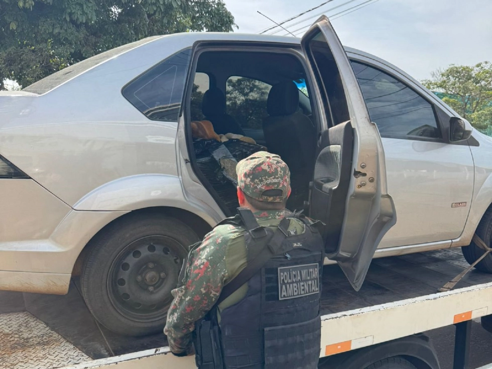 Crime organizado sofre prejuízo milionário após ações da PMA em 2025