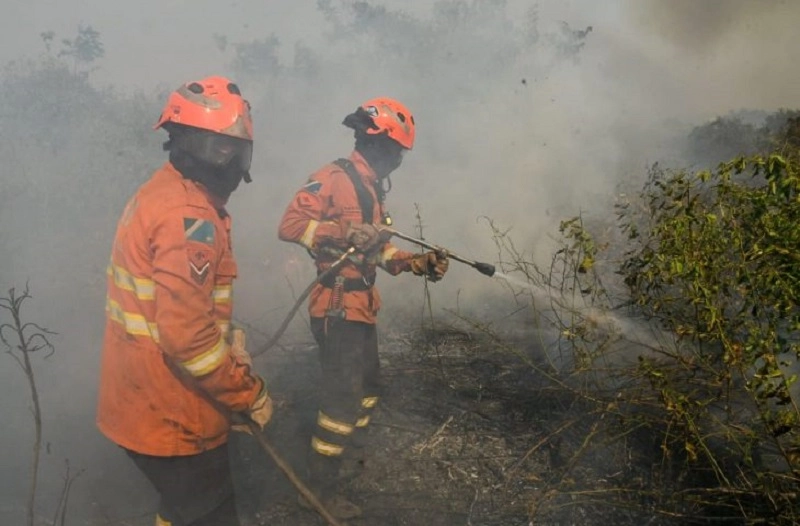 Aumento de focos leva MS a intensificar ações contra incêndios no Pantanal