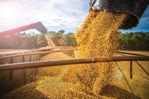 Brasil pode registrar maior produção de grãos da história, projeta Conab