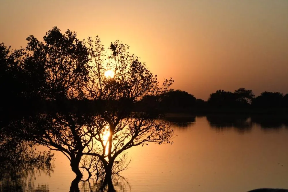 Inverno em MS Será Mais Quente que o Normal e com Menos Chuva no Pantanal