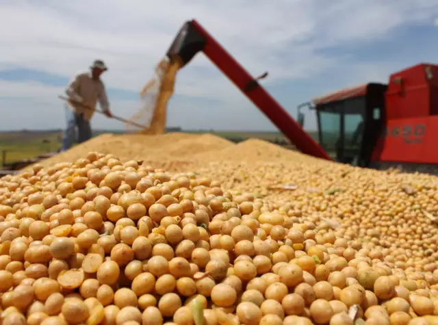 MS registra safra recorde e projeta crescimento sustentável no agronegócio