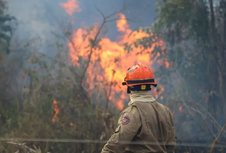 Governo do MS decreta emergência ambiental por seis meses