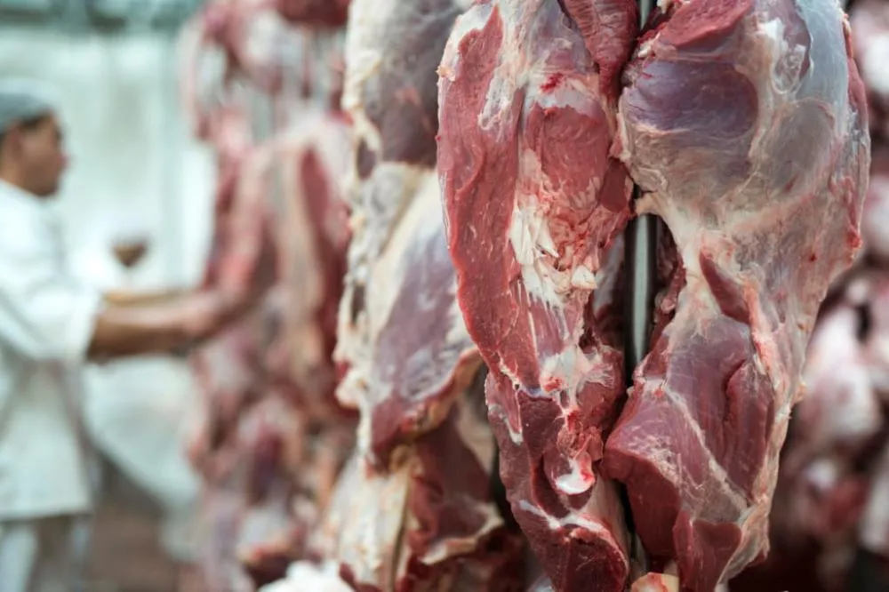 Exportações de carne bovina crescem 55% em junho e recorde esbarra em tarifa dos EUA