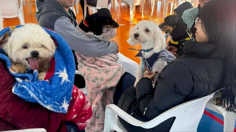 Caravana de Castração supera marca de mil animais atendidos no interior de MS