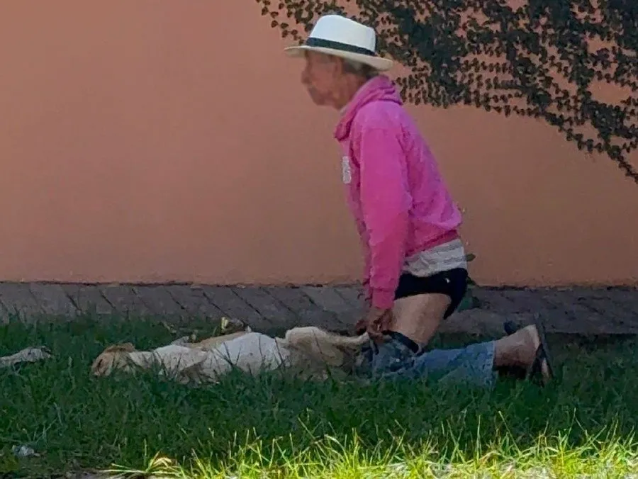 Nova Andradina: Idoso de 81 anos é detido em flagrante por suspeita de zoofilia