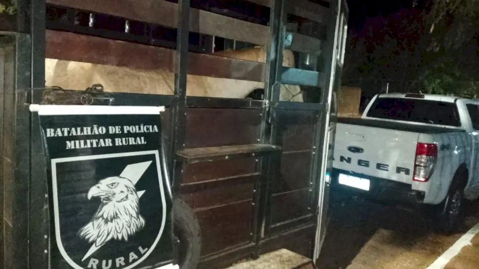 Menor furta cavalo de esporte e acaba apreendido em mata de Nova Andradina