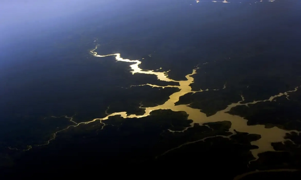 Quatro décadas de devastação reduzem Amazônia em área do tamanho da França